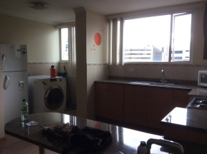 The apartment was a combination Wash & Dry laundry machine.